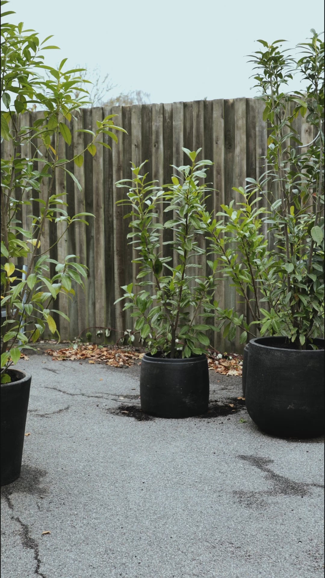 HENRIETTE STEFFENSEN COPENHAGEN SAUNA HAT DOUBLE - 4104 L & S ACCESSORIES SAND 805